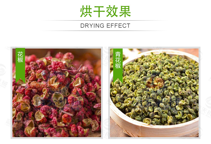 花椒網(wǎng)帶烘干機烘干效果