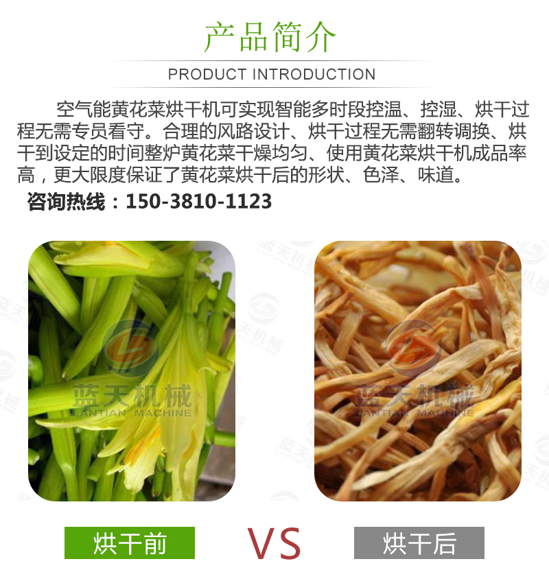 黃花菜網(wǎng)帶烘干機產品簡介