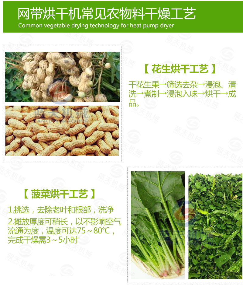 花生網(wǎng)帶式烘干機(jī)常見(jiàn)蔬菜烘干工藝