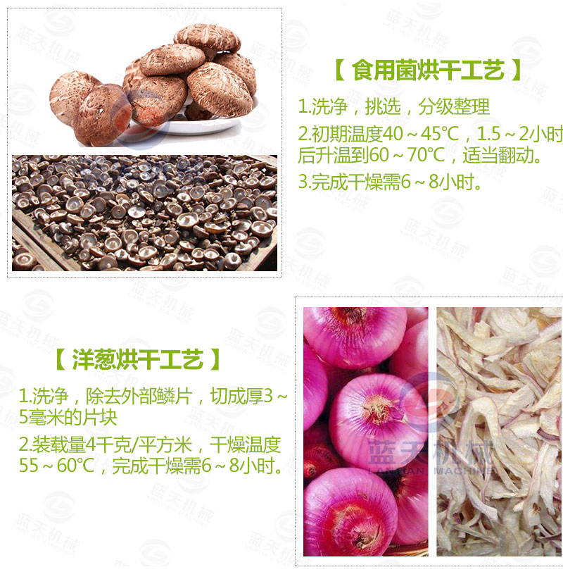 花生網(wǎng)帶式烘干機(jī)常見(jiàn)蔬菜烘干工藝